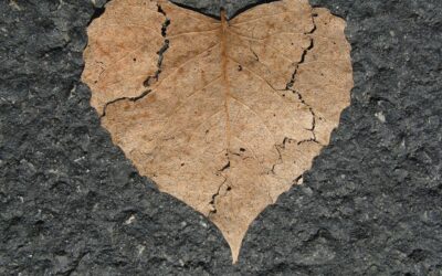 Un corazón dispuesto a hablar mejor de otros (podcast)