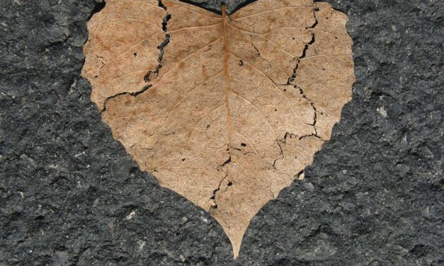 Un corazón dispuesto a hablar mejor de otros (podcast)