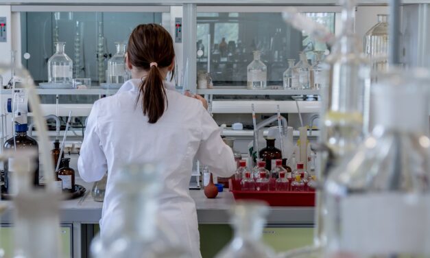 Dinero e investigación