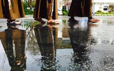 Aquellas vidas franciscanas del siglo XVI