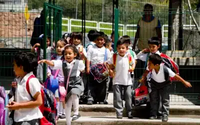 Cuando los niños están en buenas manos, florecen
