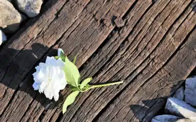 La verdadera humildad