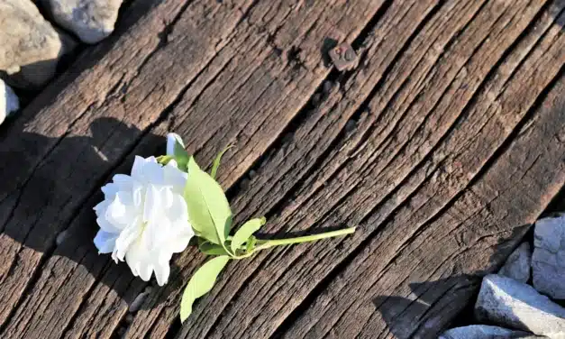 La verdadera humildad