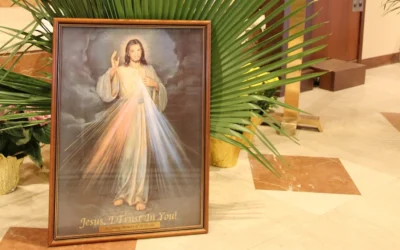 Domingo de la Divina Misericordia