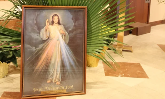 Domingo de la Divina Misericordia