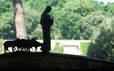 Jesús el Buen Pastor pan de la vida, luz del mundo, camino y puerta