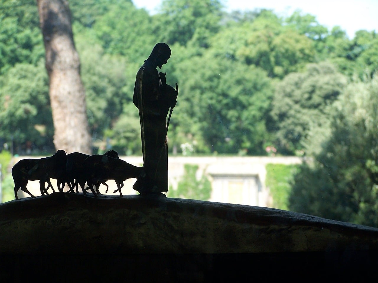 Jesús el Buen Pastor pan de la vida, luz del mundo, camino y puerta | El  Observador de la Actualidad