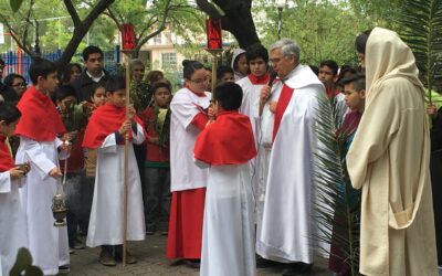 Domingo de ramos en la Pasión del Señor