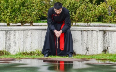 Ayudar a un seminarista en dificultades