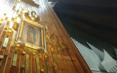 Conocer y amar más a Nuestra Señora de Guadalupe