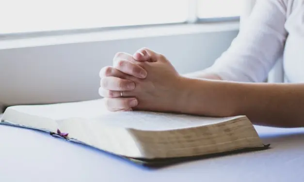 Dios, Esperanza del perseguido: SALMO 17 (16)
