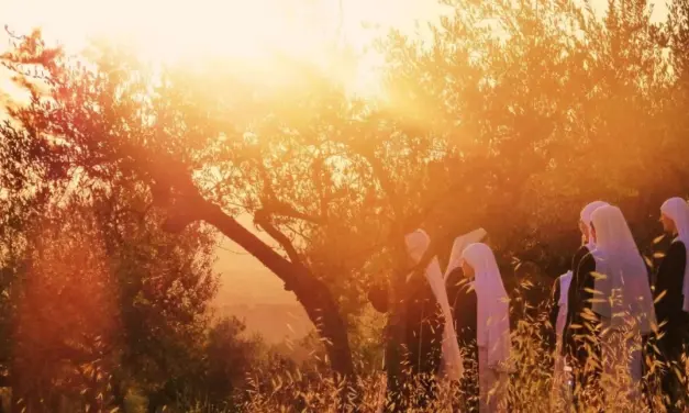 ¿Te sentirías llamada?