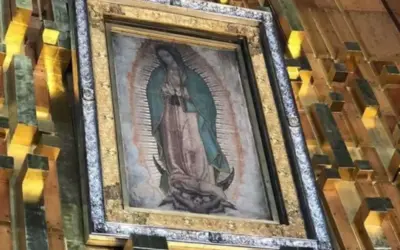 Encomiendan a la Virgen de Guadalupe los trabajos del Sínodo de la Sinodalidad