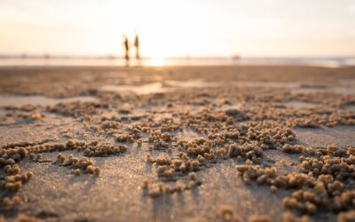 Leonardo Lesio y la sobriedad