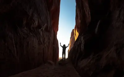 Descubrimiento asombroso