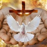 La Bienaventurada Trinidad es el misterio central de la fe 
