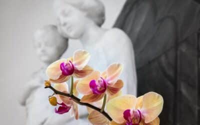 La Iglesia otorga este mes de mayo a María para conocerla y amarla más