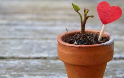 La lucha y el cansancio