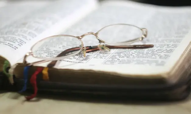 Amor, emoción, ternura: SALMO 18 (17)