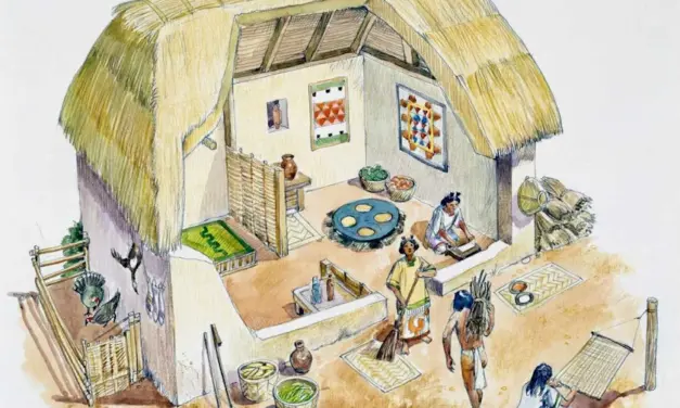 La construcción del Nuevo Mundo como una casa común II