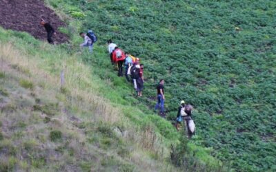 Llamado a los gobiernos latinoamericanos a evaluar las políticas de refugio