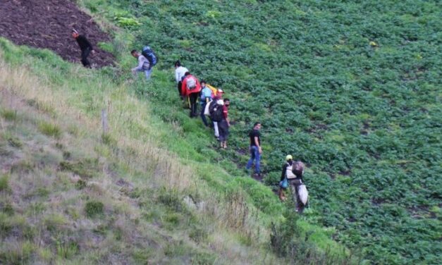Llamado a los gobiernos latinoamericanos a evaluar las políticas de refugio