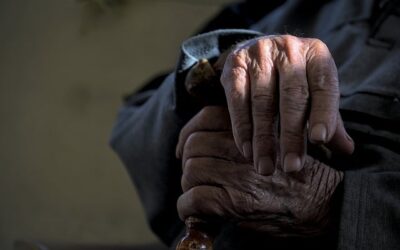 Confiaré y no temeré