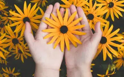 Caín, ¿dónde está tu hermano?