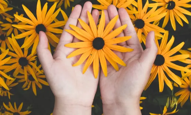 Caín, ¿dónde está tu hermano?