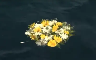 Francisco: La muerte de inocentes es un grito ensordecedor