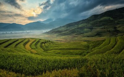 El terreno fértil del corazón (Podcast)