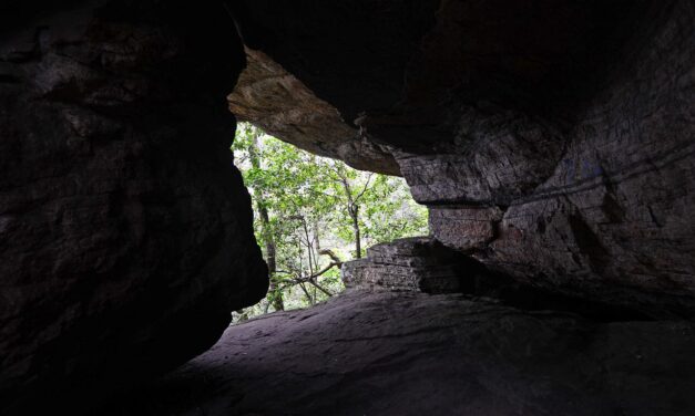 La caverna de Platón e Internet