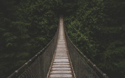 Arriesgarlo todo por Jesús