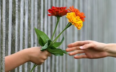 Misericordia, no sacrificios (Podcast)