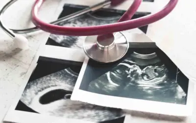 Obispos de Perú: “No abramos las puertas a la cultura de la muerte»