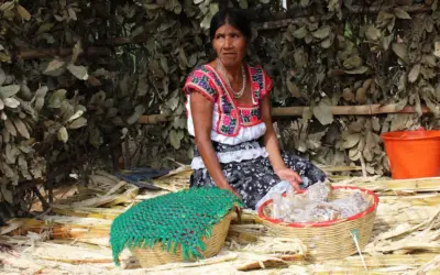 Despreciamos al indio