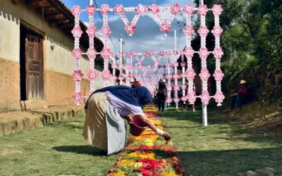 “México tiene una sociedad civil fuerte frente a una clase política enana”