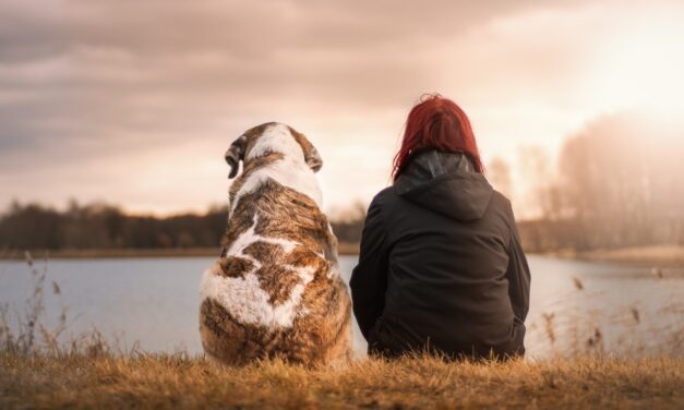 Seres humanos y animales
