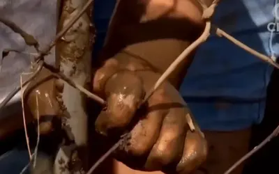 Unidos como Iglesia por nuestros hermanos de Guerrero #HuracánOTIS