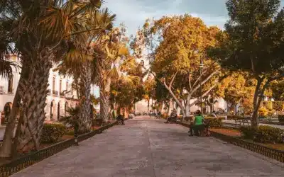 No amo a mi patria, pero…