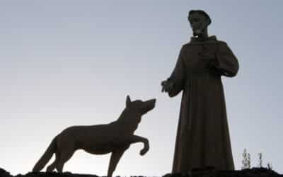 San Francisco y el lobo de Gubbio