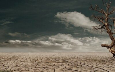 «Laudate Deum», el grito del Papa para responder a la crisis climática