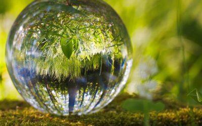 Extranjeros y huéspedes