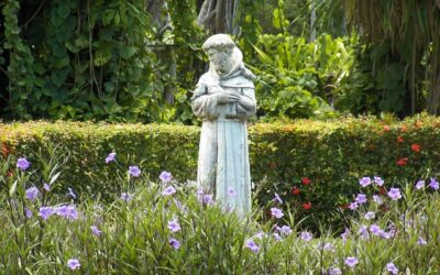 10 datos sorprendentes de San Francisco de Asís