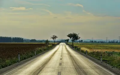 Entre el destino y la voluntad