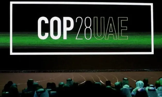 Cop28: Francisco en Dubái para reafirmar los valores de la «Laudate Deum»