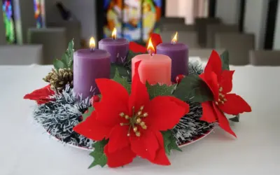 Adviento: En acción por nuestra casa común