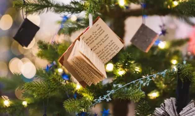 Navidad, libros y momentos