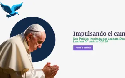 3 de diciembre: Primer Domingo de Adviento en acción por nuestra casa común