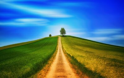 El camino de la verdad es el amor
